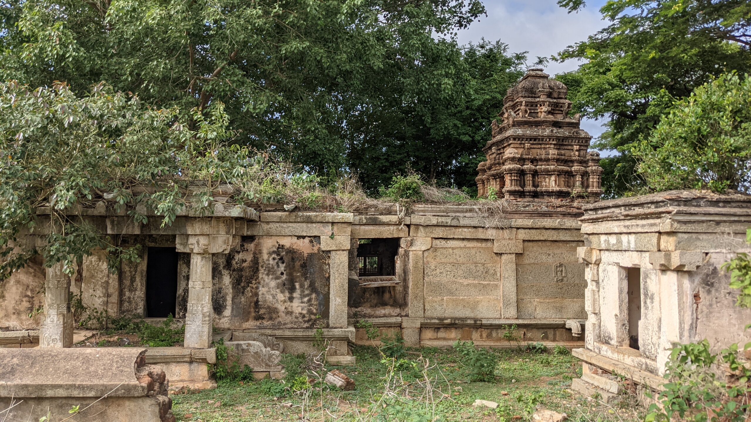 Bheemanakolli Sacred Grove