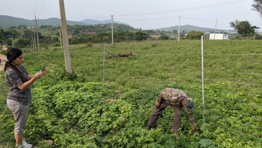 Solar Electric Fencing Infrastructure