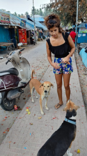 Stray Dogs Vaccination Andaman